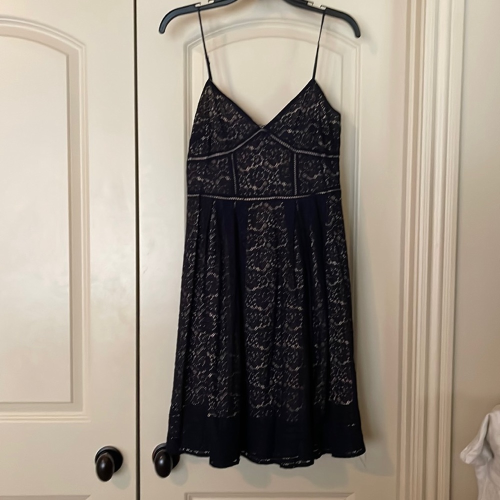 Navy lace dress with nude lining